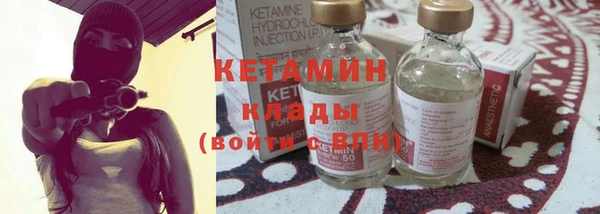 дмт Богданович