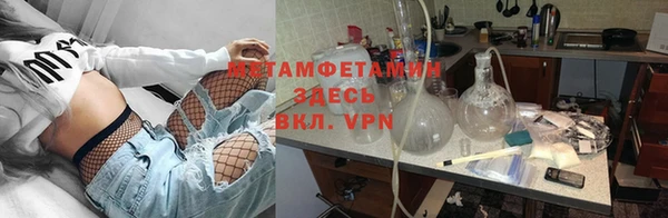 прущие грибы Богородицк