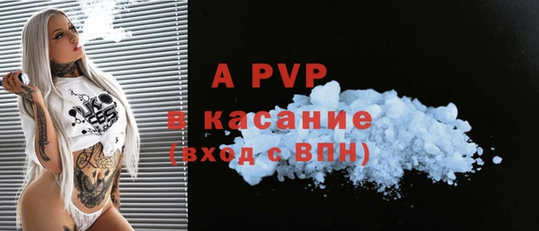 дмт Богданович