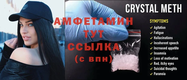 дмт Богданович