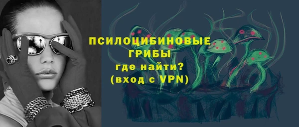 прущие грибы Богородицк