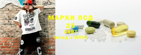 дмт Богданович