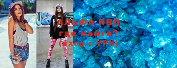 дмт Богданович