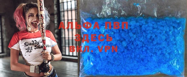 дмт Богданович