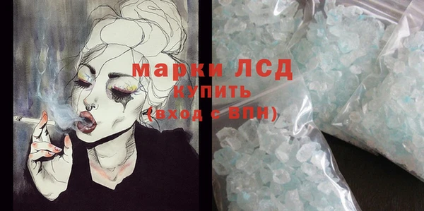 дмт Богданович