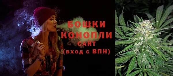 дмт Богданович