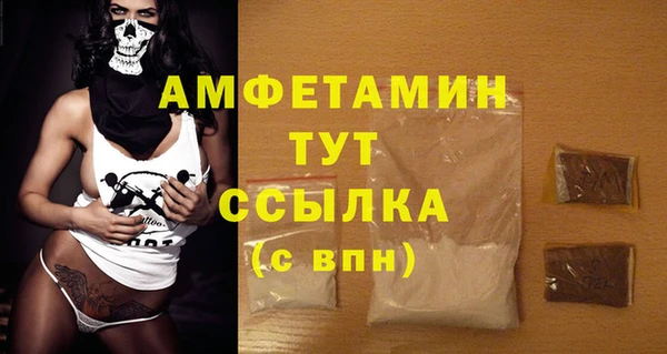 дмт Богданович