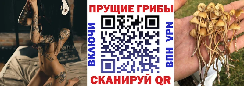 купить   ОМГ ОМГ ссылка  Псилоцибиновые грибы Magic Shrooms  Вязники 
