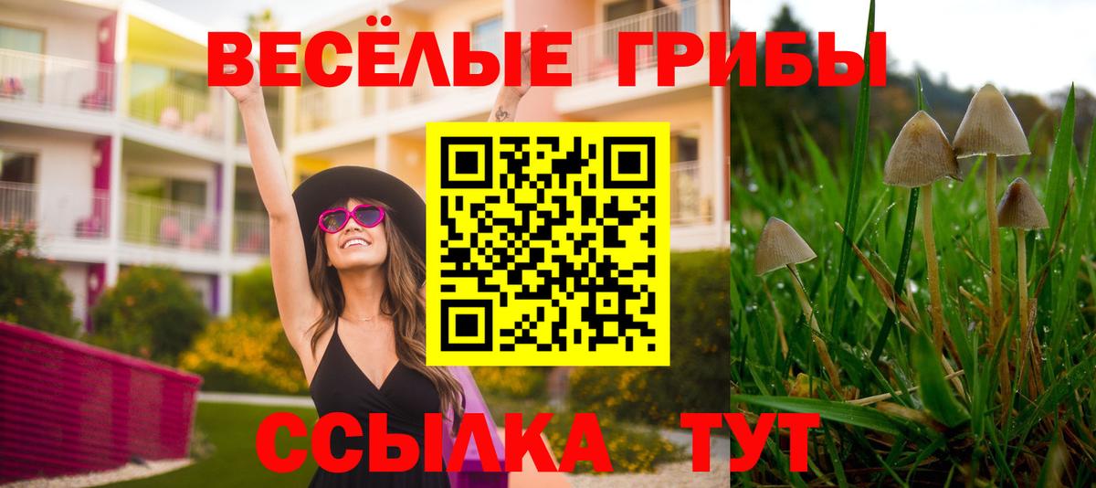 Вязники  Псилоцибиновые грибы GOLDEN TEACHER  закладки  Вход с VPN 