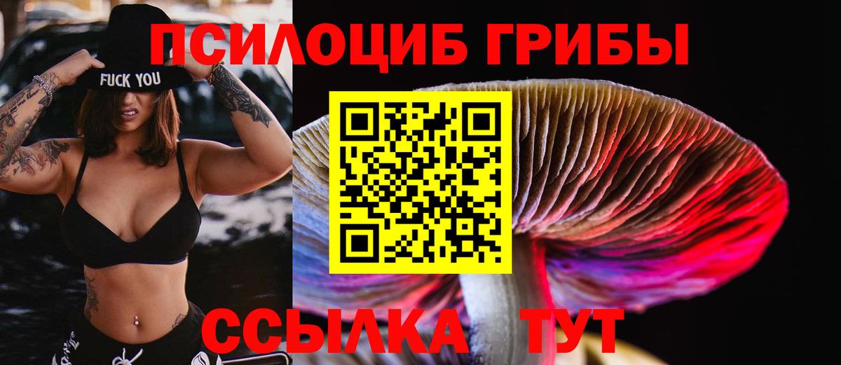 Псилоцибиновые грибы Magic Shrooms Вязники
