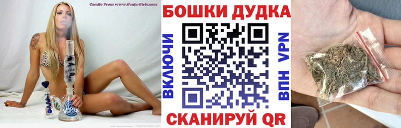 где найти наркотики  Вязники  Шишки марихуана план 